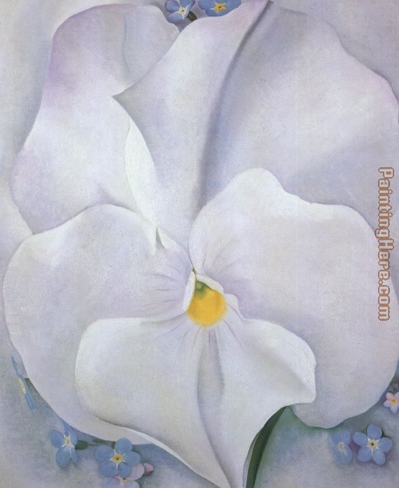 White Pansy painting - Georgia O'Keeffe White Pansy art painting